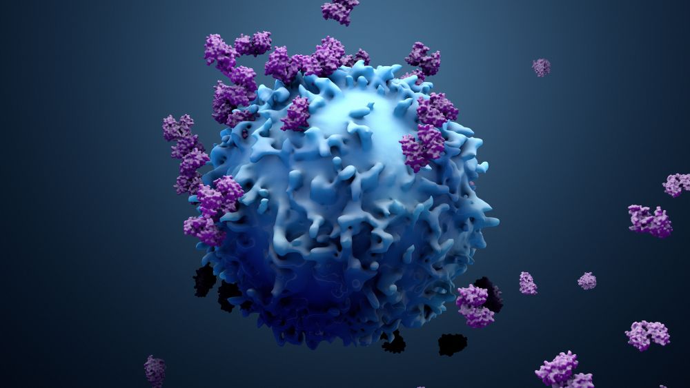 Natural Killer (NK) Hücreleri Nedir? Bağışıklık Sistemindeki Rolü